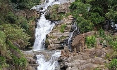 5 Days Private Tour in Sri Lanka