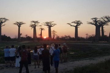 12 Days Southwest Madagascar Adventure
