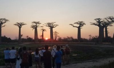12 Days Southwest Madagascar Adventure