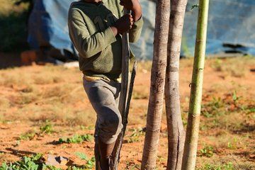 Traditional Zimbabwe Village Tour Near Victoria Falls