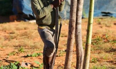 Traditional Zimbabwe Village Tour Near Victoria Falls