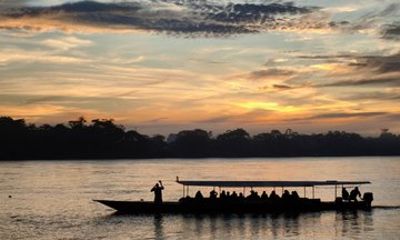 2 Days Adventure Tambopata vip and wild animals