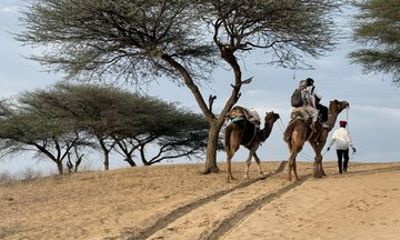 Private Osian Desert Tour with Camel Safari, Dinner & Mandore
