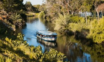 Adelaide River Torrens Devonshire Tea Cruise