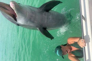 3 Hour Private Shell Island Dolphin and Snorkeling Tour