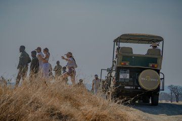 4 Days Nyerere Fly In Safari Camp Experience