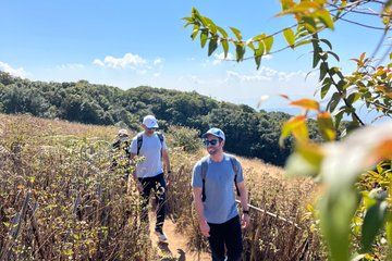 Private Doi Inthanon National Park Tour
