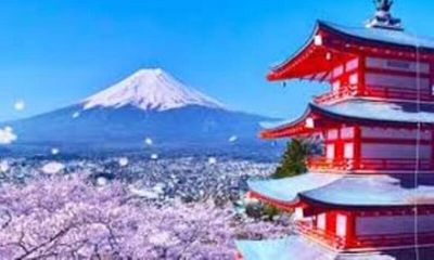 Customized Shimizu and Shizuoka Tour by Private Car and Guide