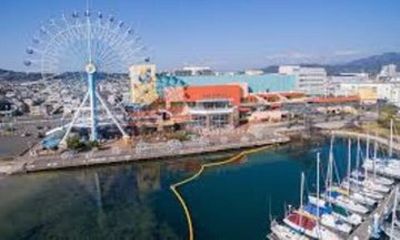 Ultimate Shimizu and Shizuoka Tour by Private Car and Guide