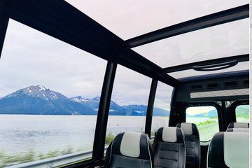 Beluga, Bears & Birds: Turnagain Arm Panoramic Bus Tour to AWCC
