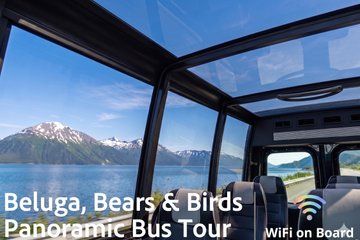 Private Beluga, Bears & Birds Panoramic Bus Tour to AWCC