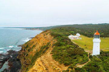 Mornington Coastal Sightseeing Tour from Melbourne