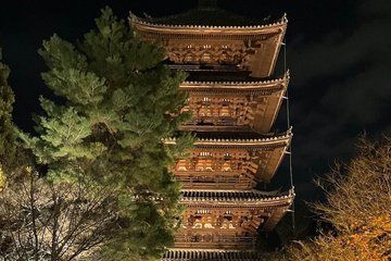 Kyoto Ninnaji Temple Green Leaves Night Illumination Tour