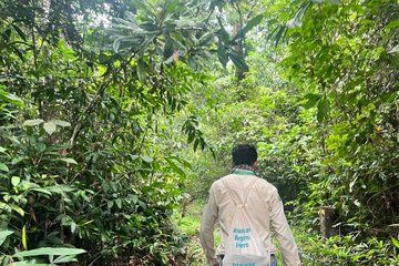 Siem Reap to Phnom Kulen Rainforest Adventure Trek