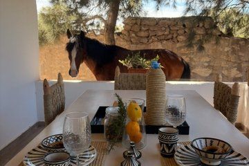 Morning Nature Horse Ride with Lunch in Essaouira
