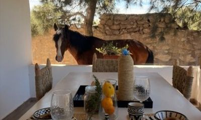Morning Nature Horse Ride with Lunch in Essaouira