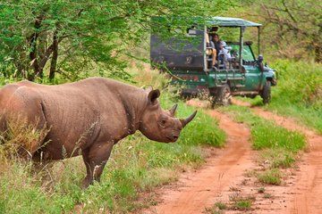 2 Days Tanzania Joining Group Safari to Tarangire and Ngorongoro