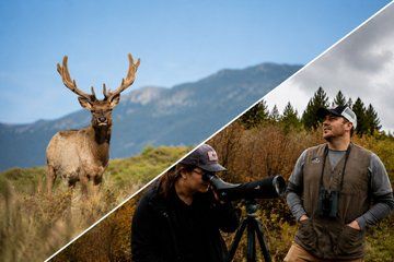 Rocky Mountain National Park Tour and Picnic