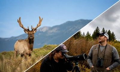 Rocky Mountain National Park Tour and Picnic