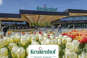 Private Keukenhof Park & Tulip Fields Tour from Rotterdam