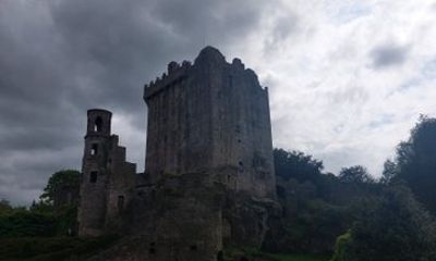 Private Castle Tour from Limerick