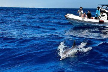 Jo's Sea adventures in Hurghada