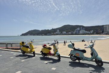 Busan Scooter Tour with English Speaking Host