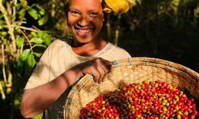 Addis Ababa Guided Tour via 4WD and Multiday