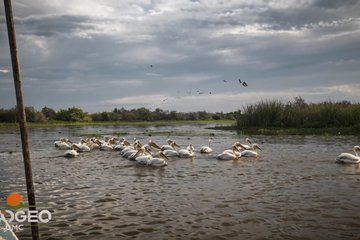 Private Tour the most complete - Pearls of Senegal