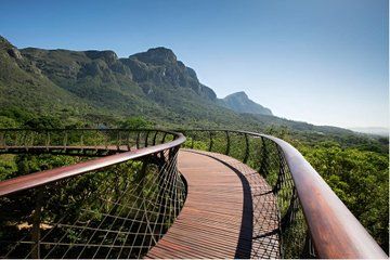Kirstenbosch Garden Self Guided Tour in Cape Town