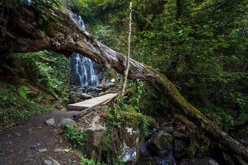 Batumi Makhuntseti Waterfall Mountain Views and Local Wine