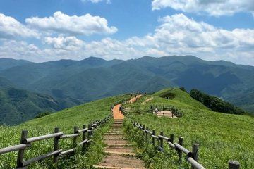 Cinematic Photography Experience in Seoul