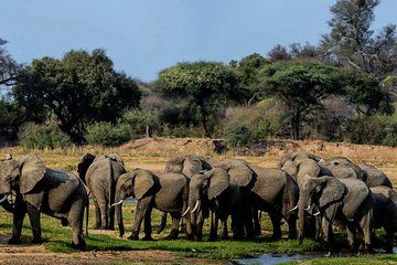 12 Days Tanzania Safari and Zanzibar Experience