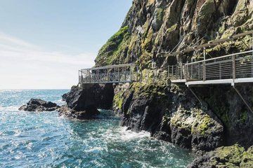 The Gobbins Half-Day Tour in a Luxury Minivan from Belfast