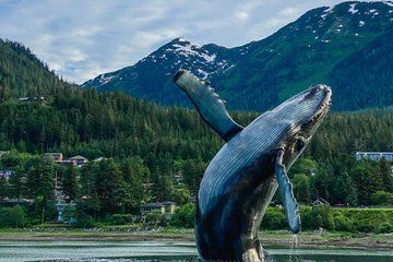 Local Guides: Customized Private Juneau Sightseeing SUV Excursion