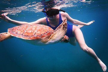 Best Snorkeling Tours with Complimentary Photos