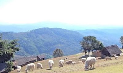 Chiang Rai to Chiang Mai Private Scenic Transfer Tour