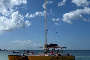 Sunset Sailing Cruise with Live Steelpan Music and Open Bar