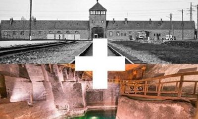 Auschwitz Birkenau and Wieliczka Salt Mine Full Day Tour
