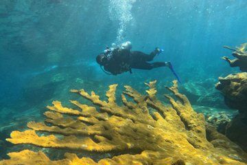 Diving in Santa Marta Taganga and Tayrona Park