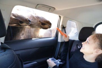 Parc Omega Canadian Wildlife Safari Private Adventure