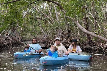Mangrove Forest Tour with Photo Shoot