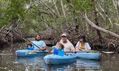 Mangrove Forest Tour with Photo Shoot