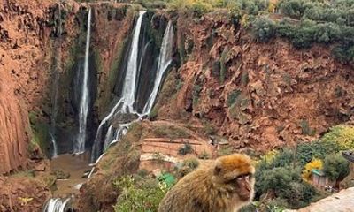 Ouzoud Waterfalls Day Trip from Marrakech with Scenic Nature Walk