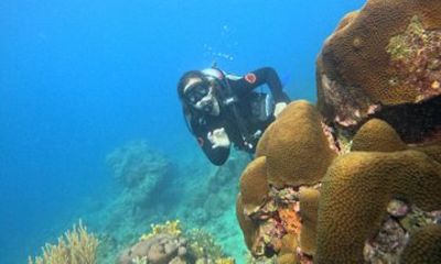 Lionfish Scuba Mini Course Underwater Adventure