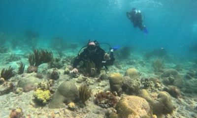 NAUI Open Water Parque Tayrona Diving Certification Course