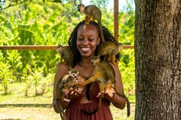 Punta Cana Nature Adventure Horseback Ride and Monkey house