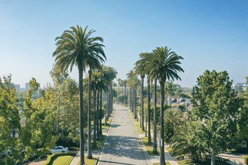2 Hour Hollywood Celebrity Homes Open Bus Tour
