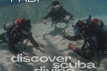 Private VIP Discover Scuba Diving with a PADI Course Director