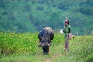 Tan Son Nhat International Airport Private 15 Day Tour